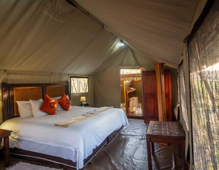 Buffalo Rock Whole Room Buffalo Rock Whole Room