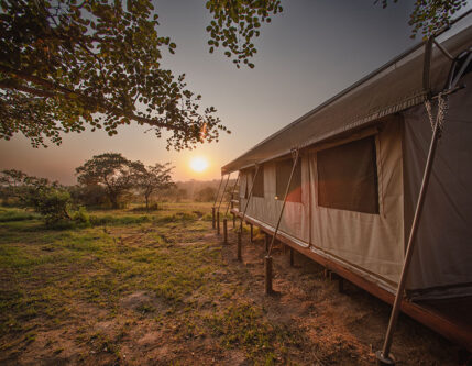 Nkambeni-Tent Exterior Nkambeni-Tent Exterior