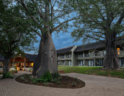 Skukuza Safari Lodge-img Skukuza Safari Lodge-img