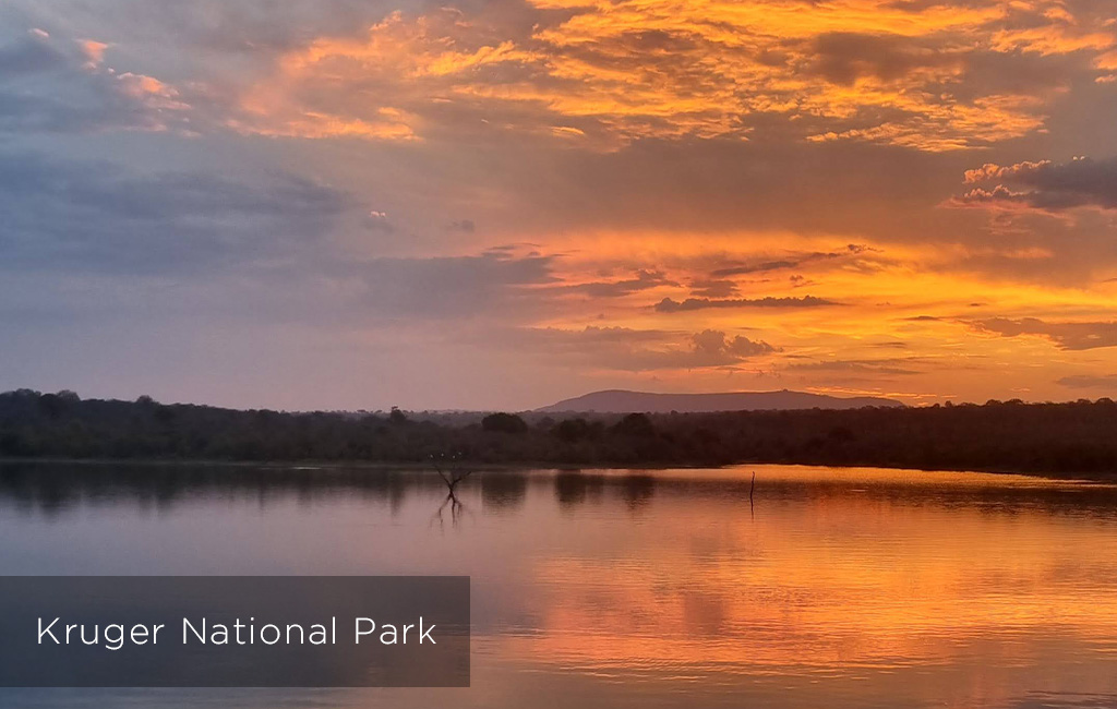 Popular Destination - Kruger National Park