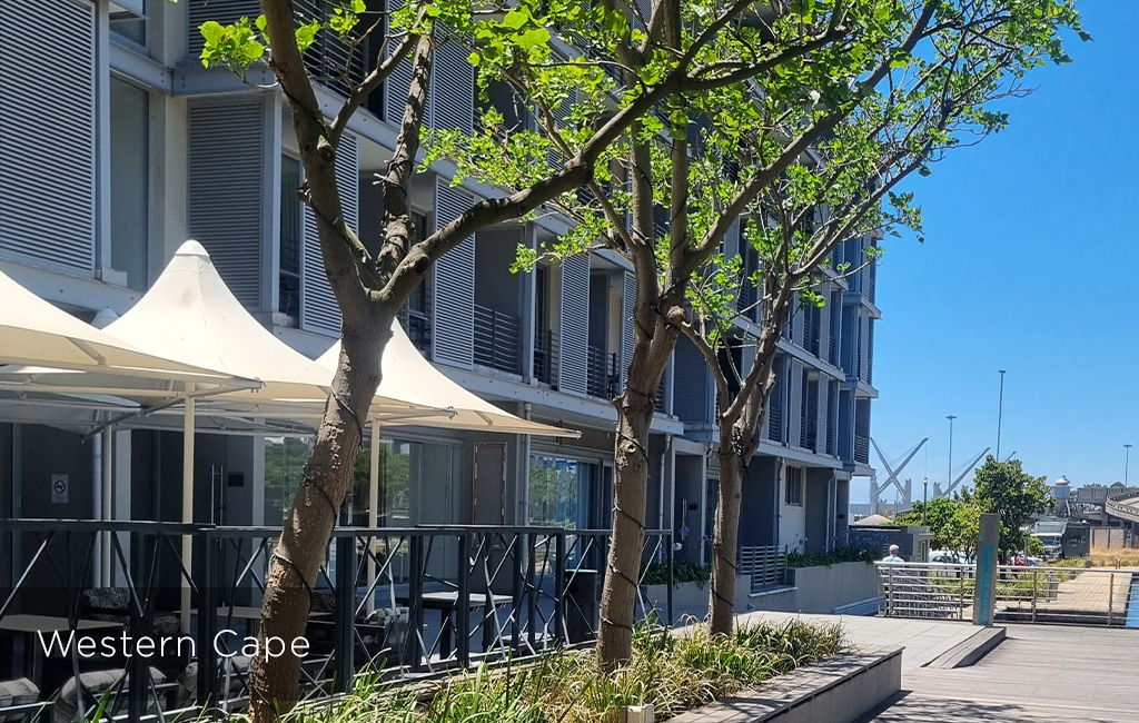 Popular Destination - Western Cape